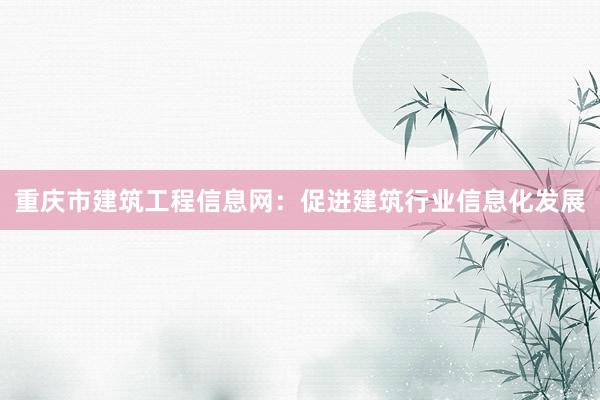 重庆市建筑工程信息网：促进建筑行业信息化发展