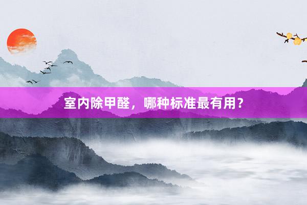 室内除甲醛，哪种标准最有用？